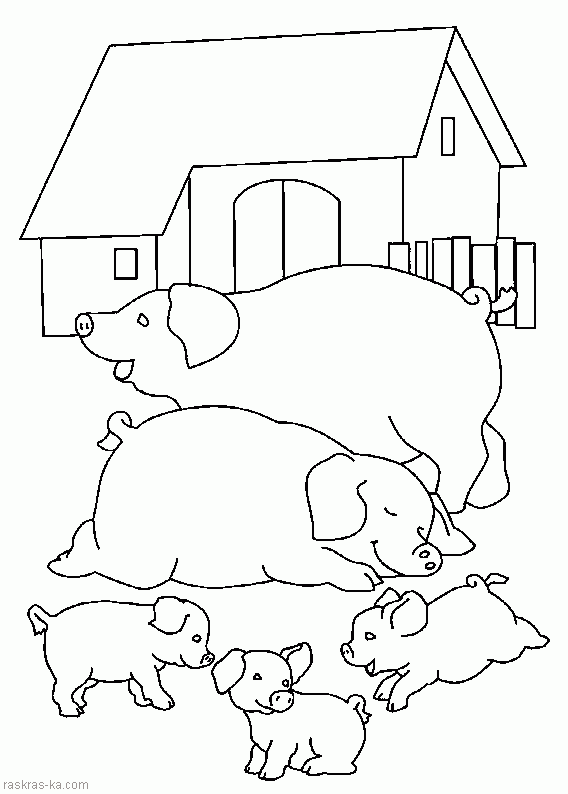 Раскраски домашние животные. Свиньи и поросята