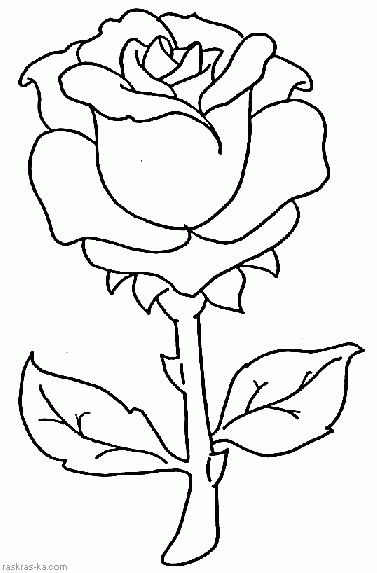 Раскрасить цветок. Роза. Сайт для детского развития