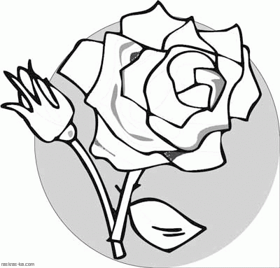 Роза раскраска для принтера