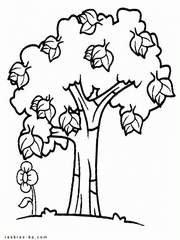 Скачать раскраски растения: дерево и цветок