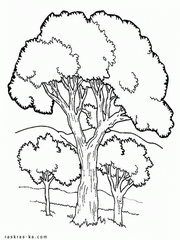 Раскрашивать деревья на холмах бесплатно
