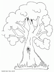 Дерево - раскраска бесплатно для детей