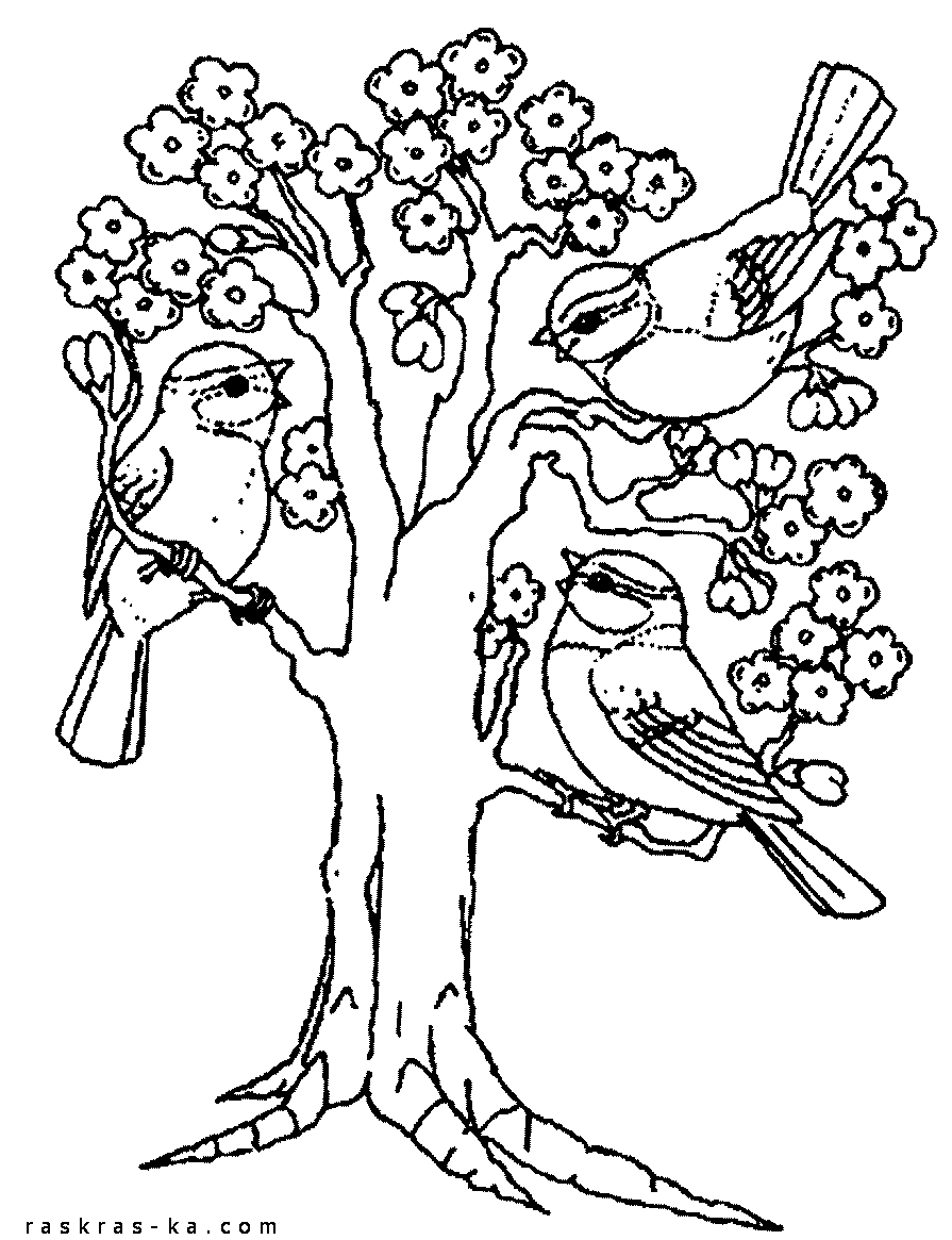 птичка на дереве раскраска