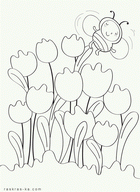 Раскраска тюльпаны. Весна