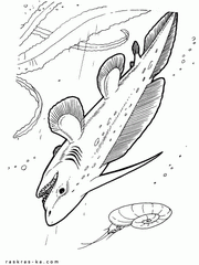 Плевракант. Подводный динозавр, примитивная акула