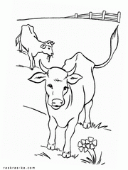 Коровы пасутся на лугу - скачать раскраску