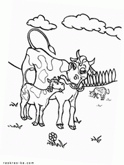 Корова и теленок на пастбище. Раскраска для детей