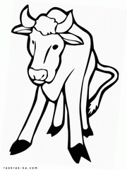 Корова. Раскраска про животное
