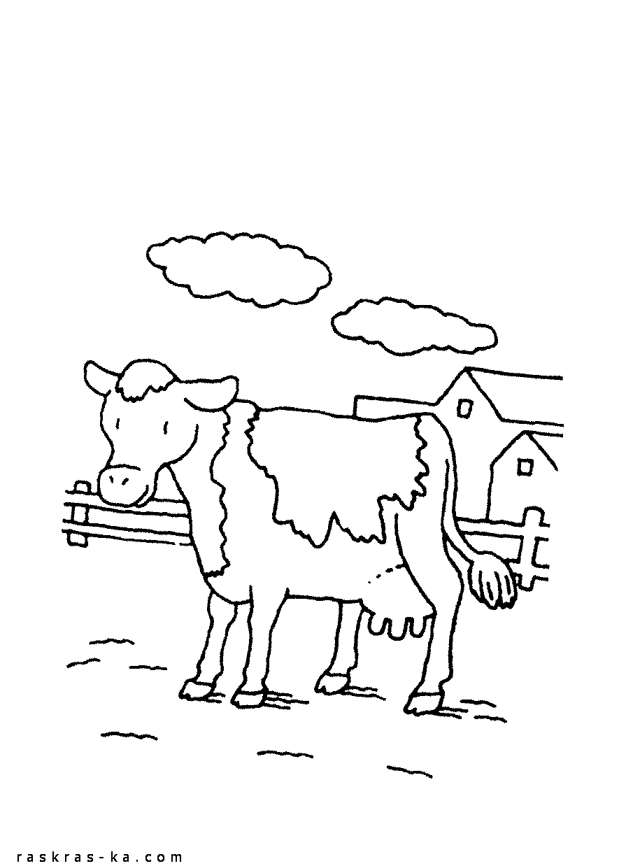 Раскраски домашние животные распечатать. Корова