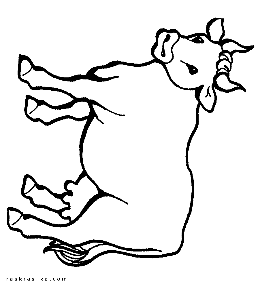 Корова - раскраска детская