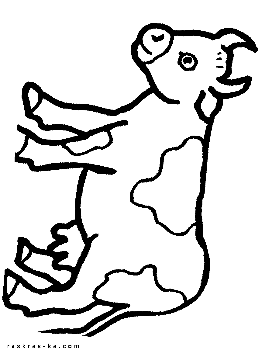 Раскраски домашние животные - корова