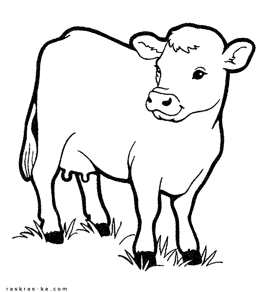 Раскраска коровка - распечатать