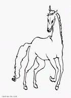 Раскраска бесплатно лошадь