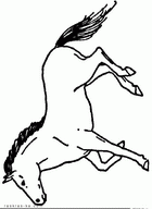 Раскраски для девочек про лошадей скачать или распечатать