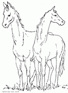 Две лошади. Раскраску распечатать