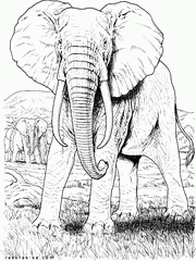 Раскраска слон. Дикие животные