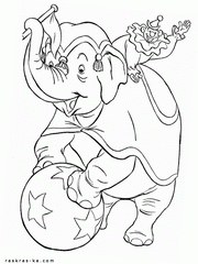 Раскраска цирковой слон на представлении
