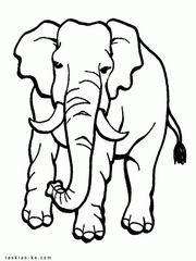 Слон раскраска для ребенка. Скачать без регистрации