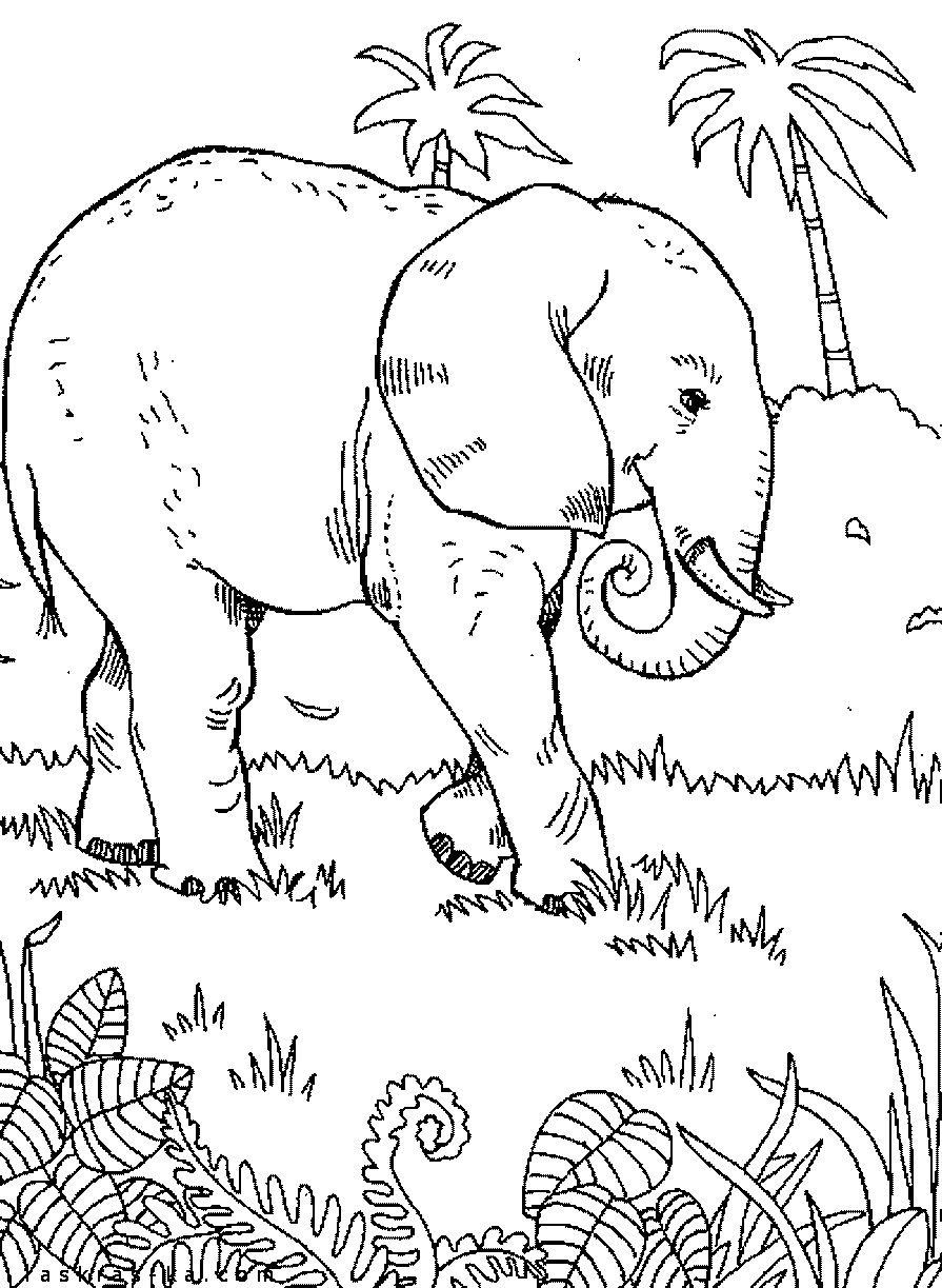 Африканские слоны - раскраска детская