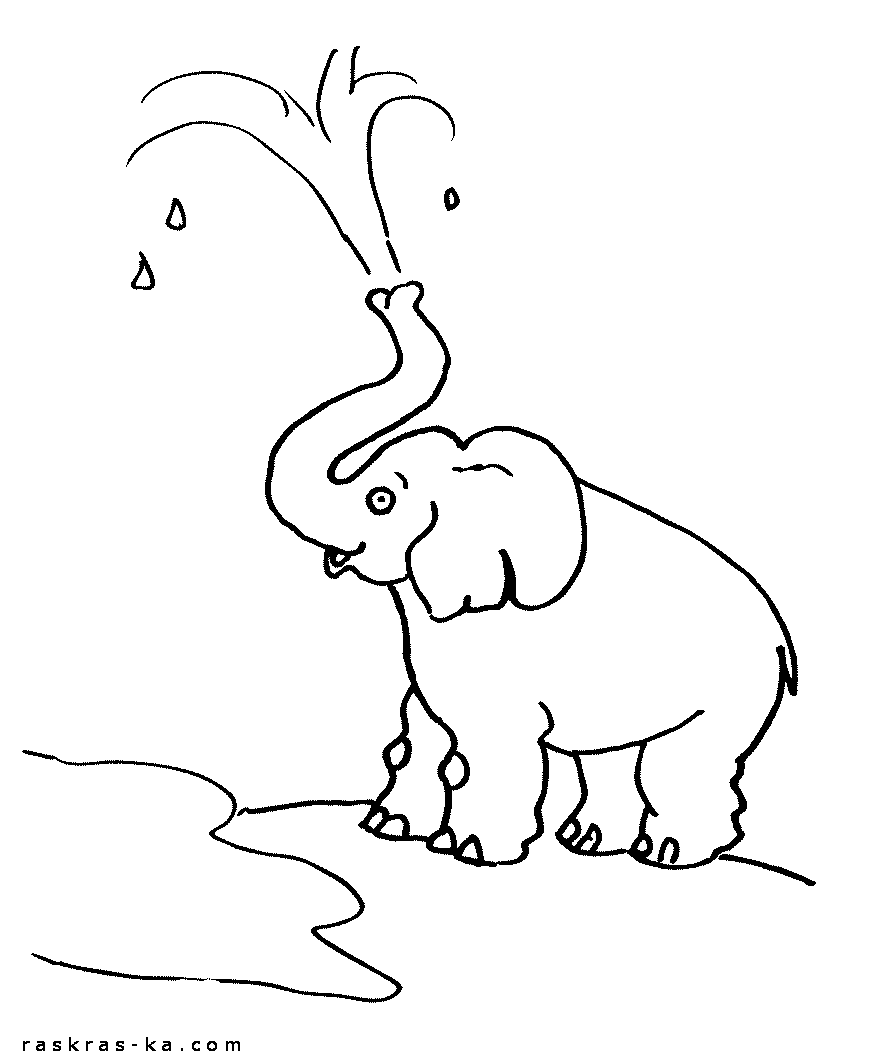 Слон раскраска - распечатать бесплатно