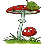 Раскраски грибы. Мухомор