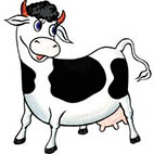 Раскраски коровы, быки, телята