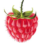 Раскраски малина. Ягоды