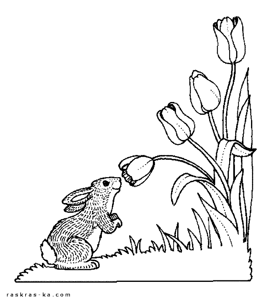 Раскраска для детей заяц нюхает тюльпаны
