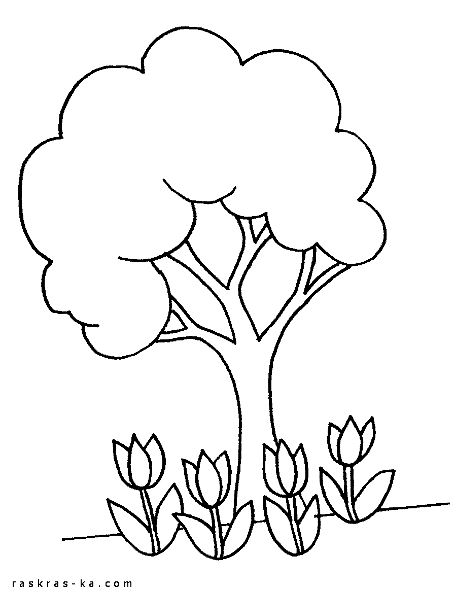 Тюльпаны в саду под деревом. Раскраска