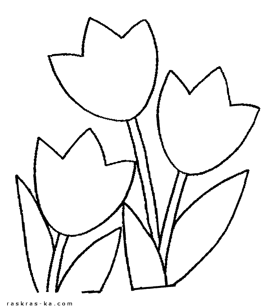 Скачать разукрашки для маленьких - тюльпаны