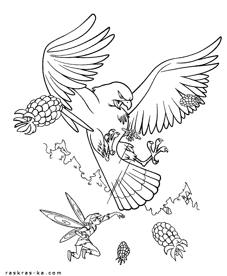 Феи против ястреба. Печатать раскраску