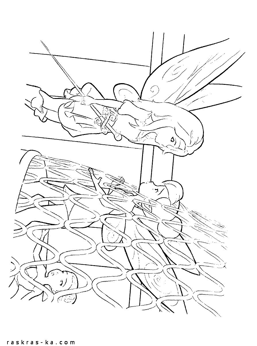 Раскраски из мультика скачать. Феи