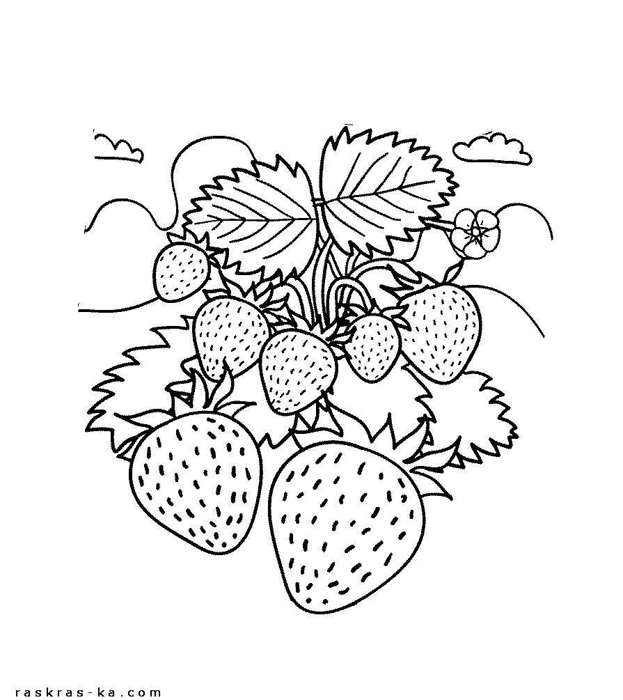 Раскраска земляника распечатать