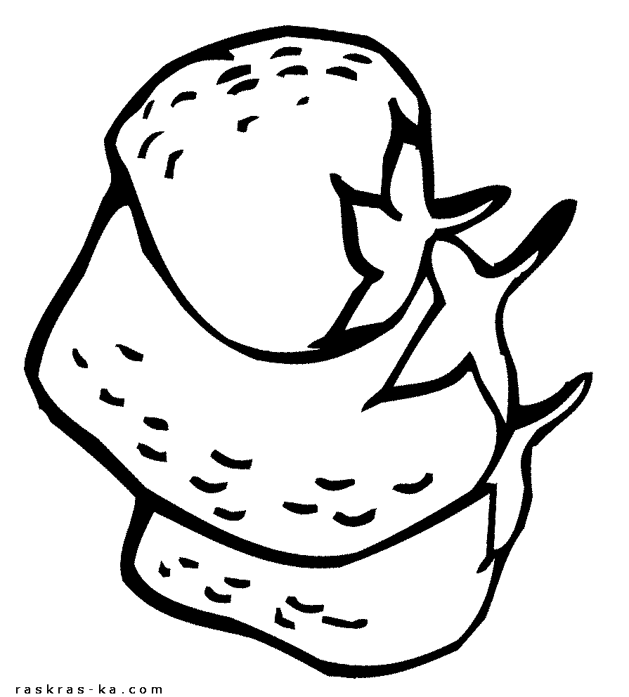 Клубника. Распечатать раскраску бесплатно, без регистрации и смс