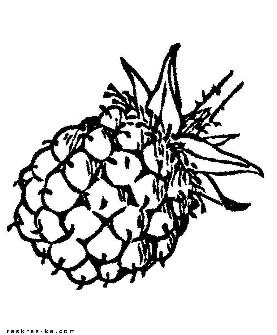 Большая ягода малины - раскраска для детей