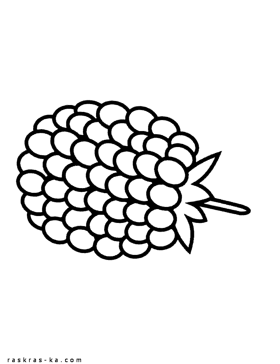 Малиновая ягода - раскраска детская