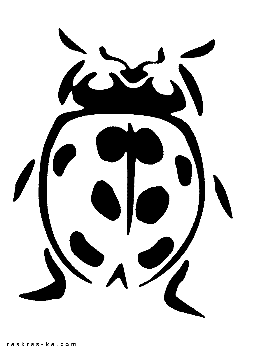 Раскраски насекомые распечатать. Божья коровка