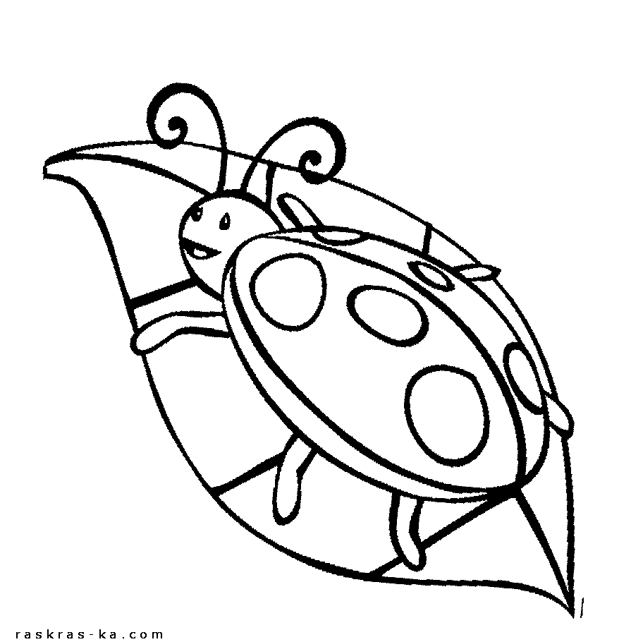 Раскраски с насекомыми. Распечатать божью коровку