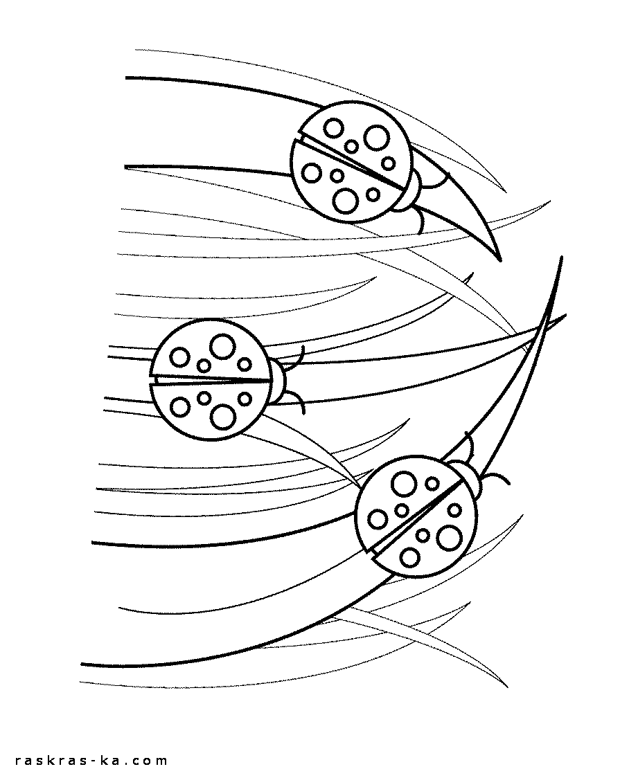 Раскраски про лето. Божьи коровки в траве. Природа