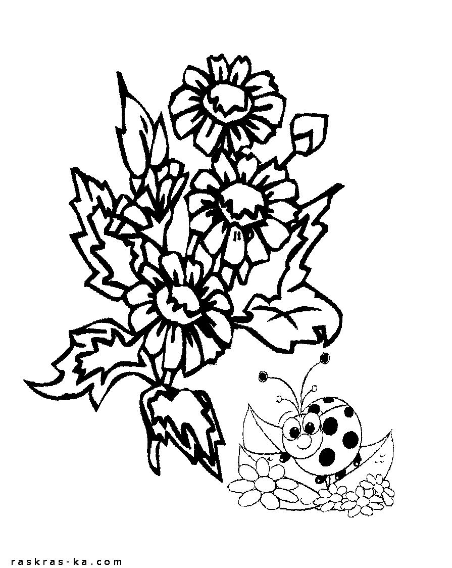 Божья коровка и цветы. Раскраска детская