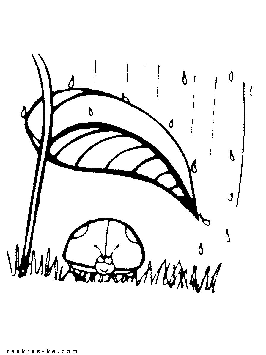 Божья коровка прячется от дождя. Раскрасить