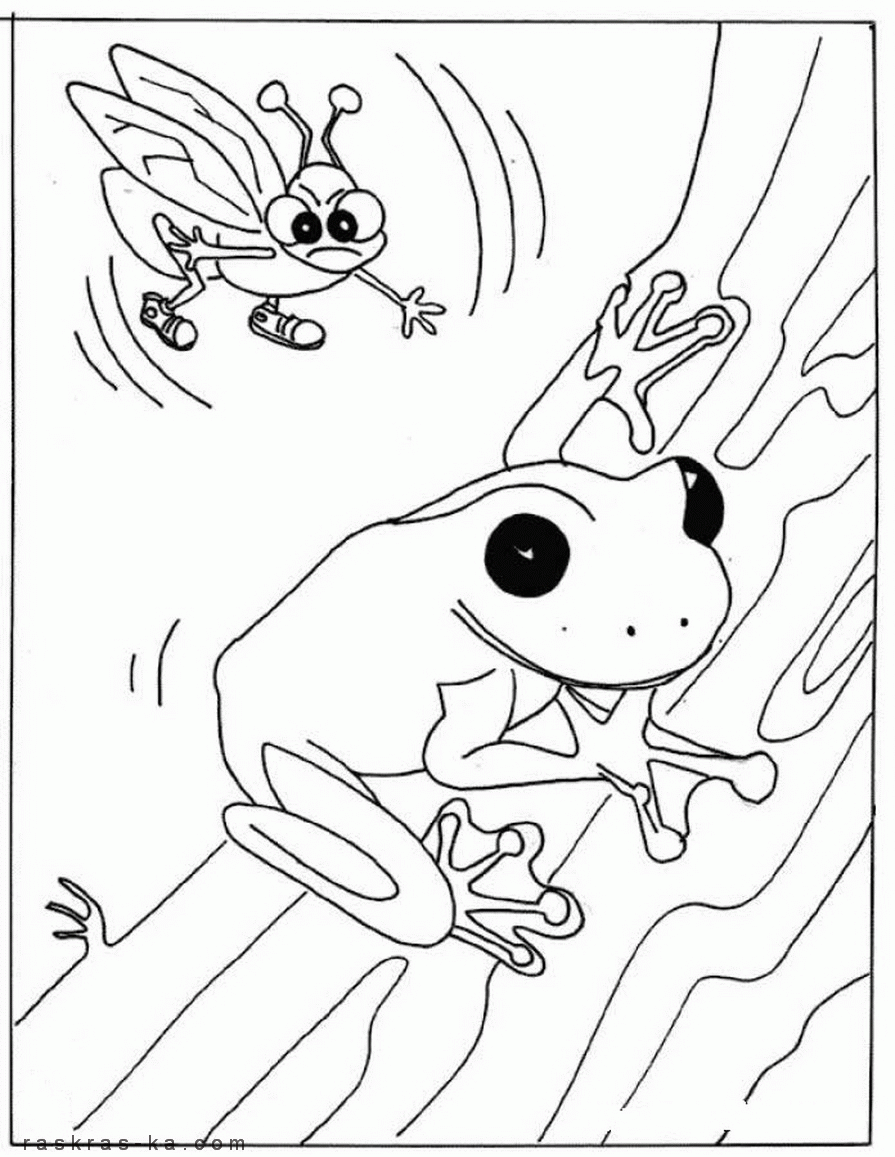 Раскраска лягушка и муха. Распечатать
