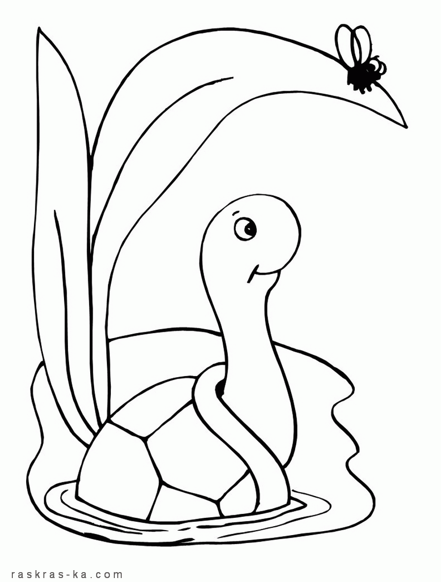 Раскраска черепаха и муха. Природа