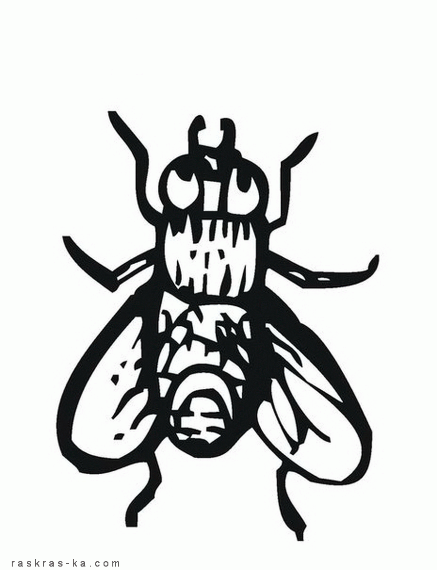 Раскраски мух скачать бесплатно