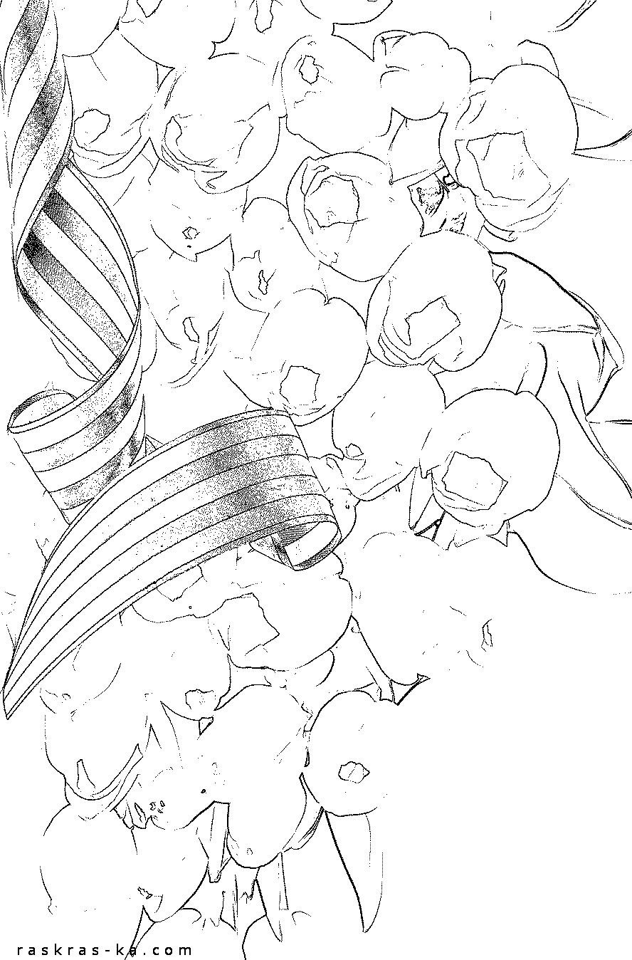 Раскраска тюльпаны к Дню Победы. Скачать