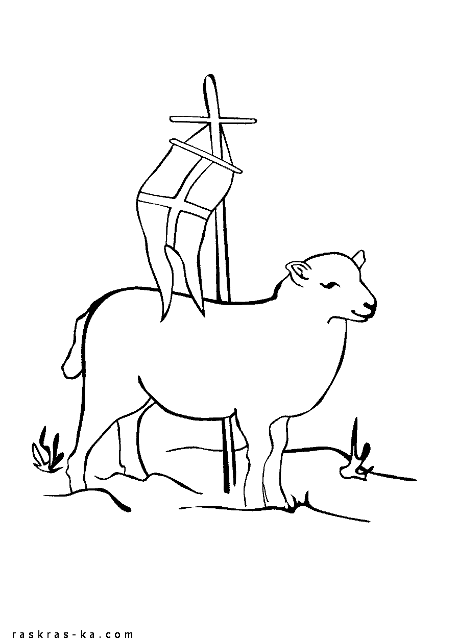 Раскраска овечка бесплатно