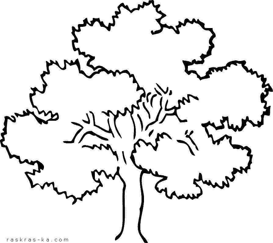 Раскраска с деревом. Распечатать картинку