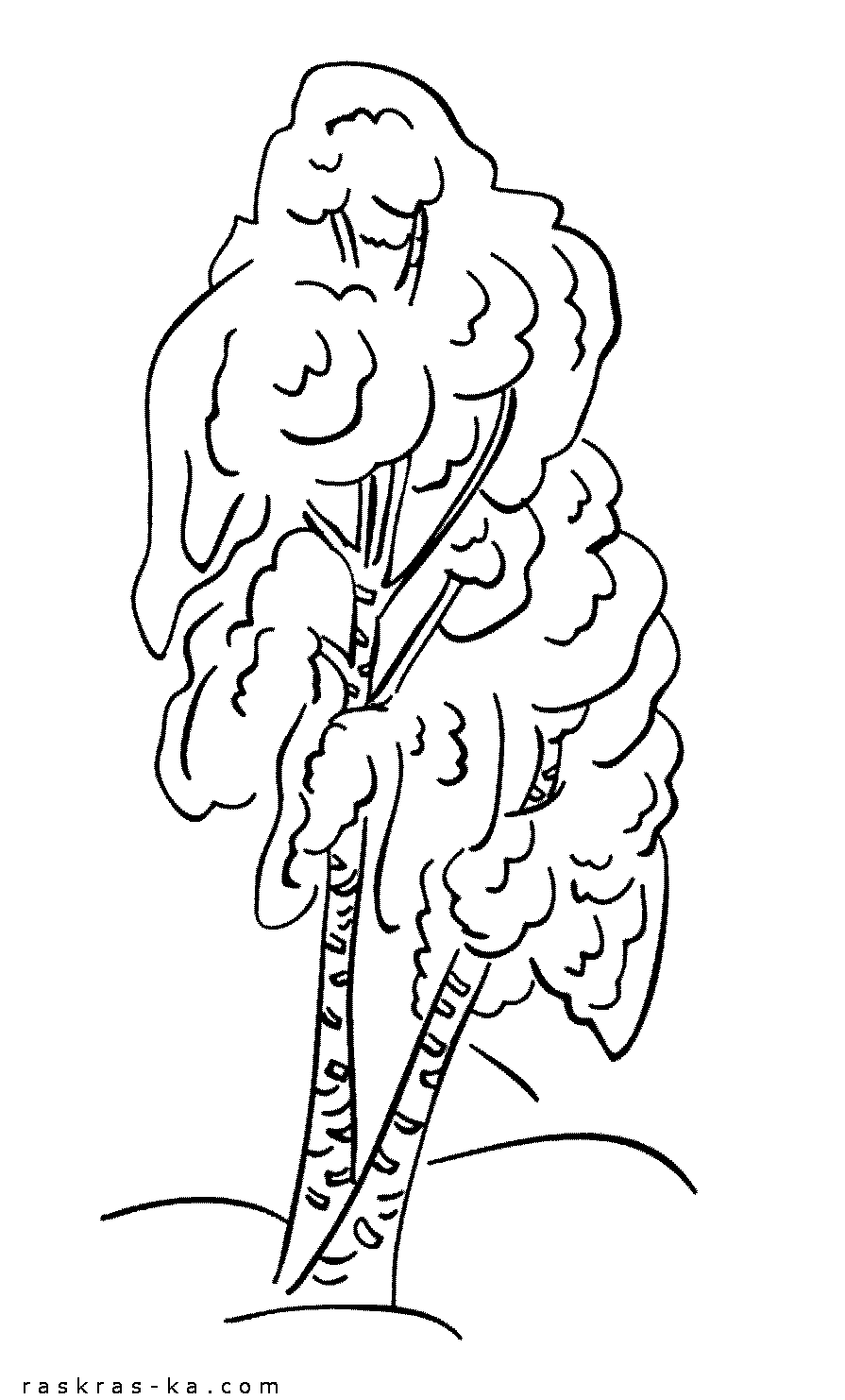 Распечатать раскраски деревья бесплатно