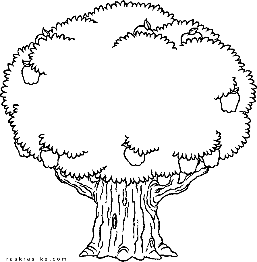 Дерево с плодами - раскрашка для дошкольника