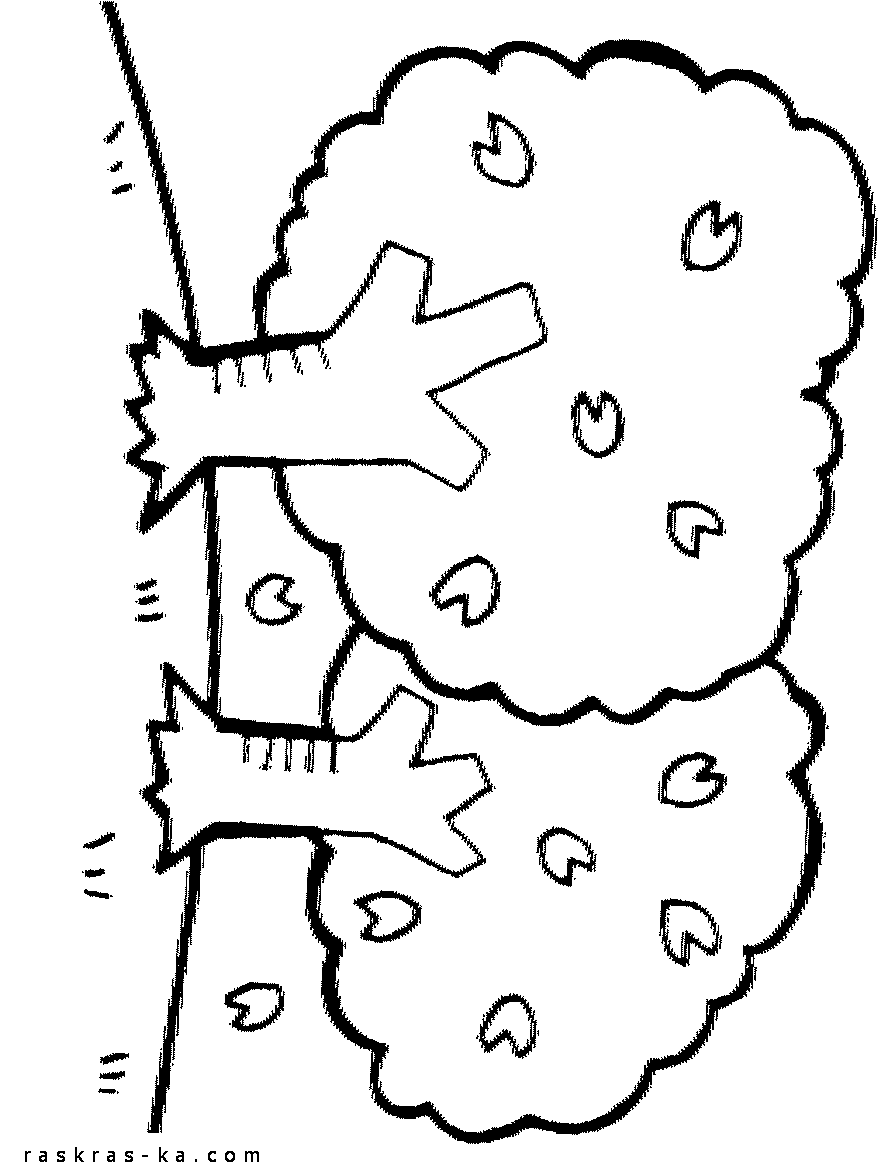 Для малышей. Раскраски деревья бесплатно